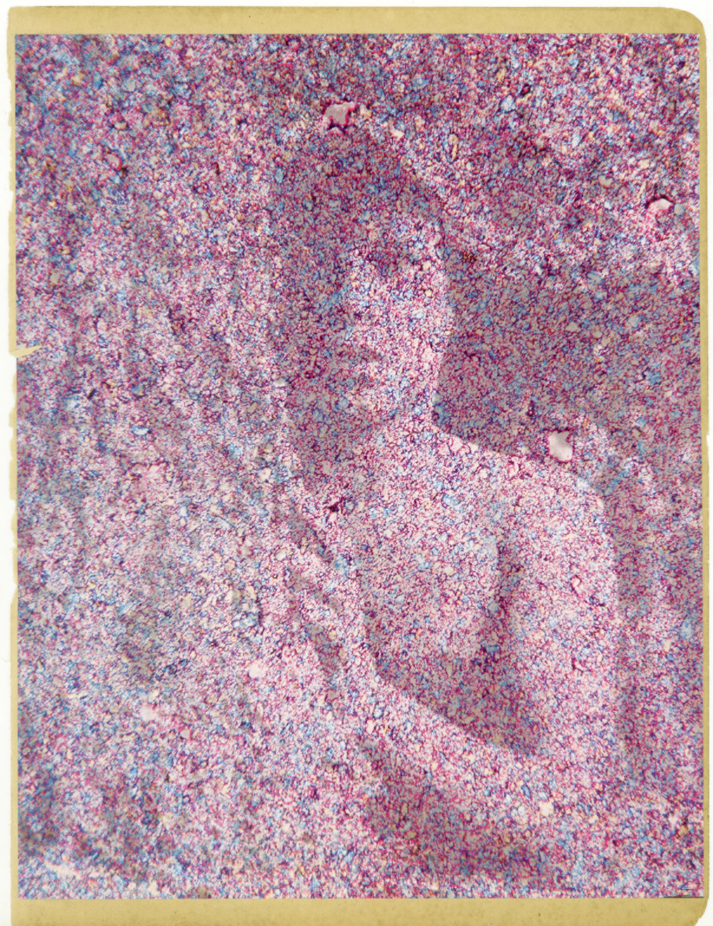 Untitled, 2013