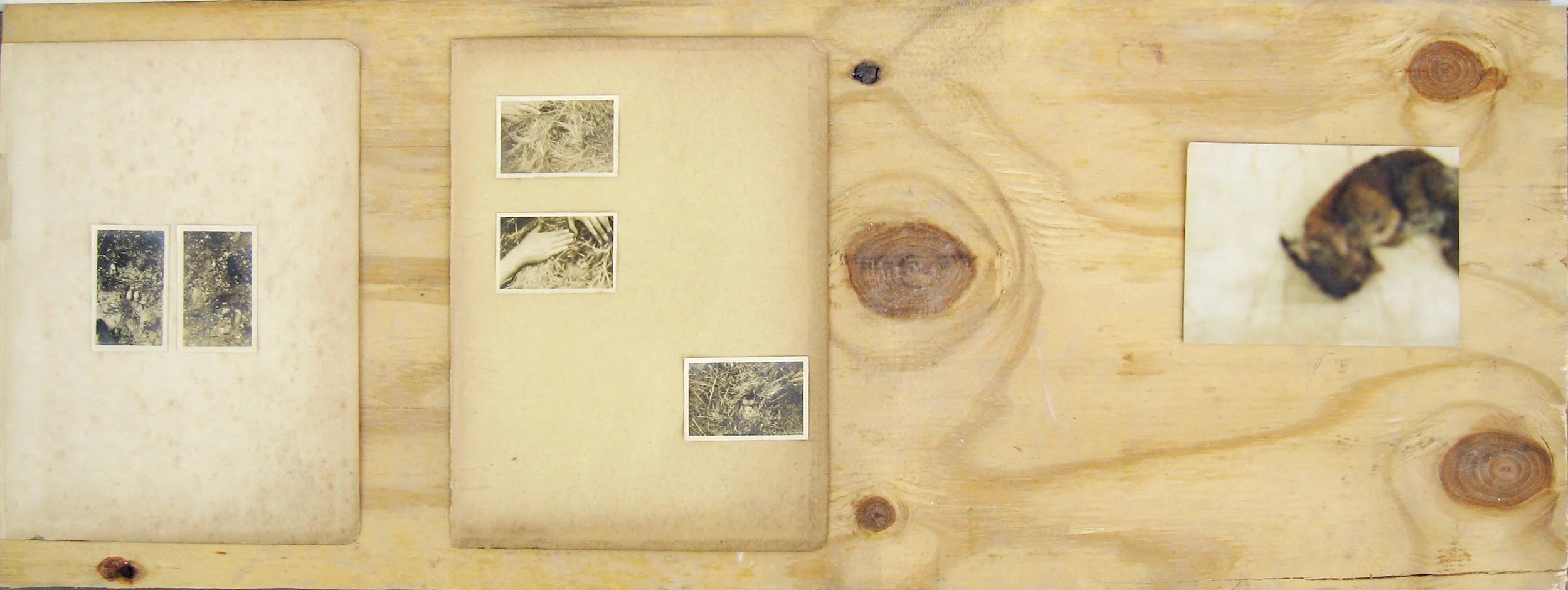 Untitled, 2014