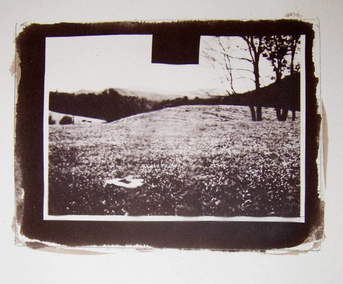 Honour Fetter Deux, 2012