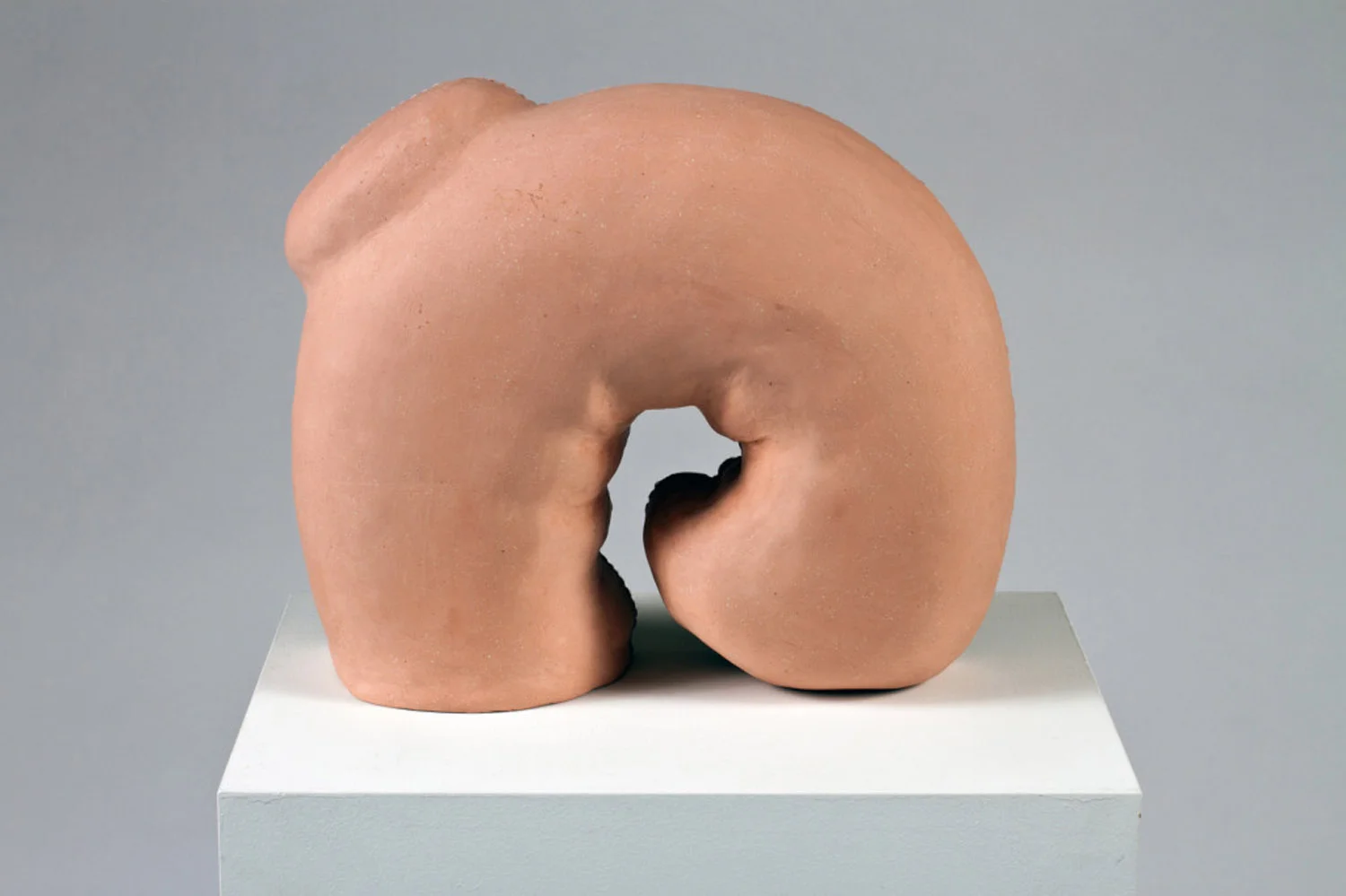 The Dissection of ANI, 1993