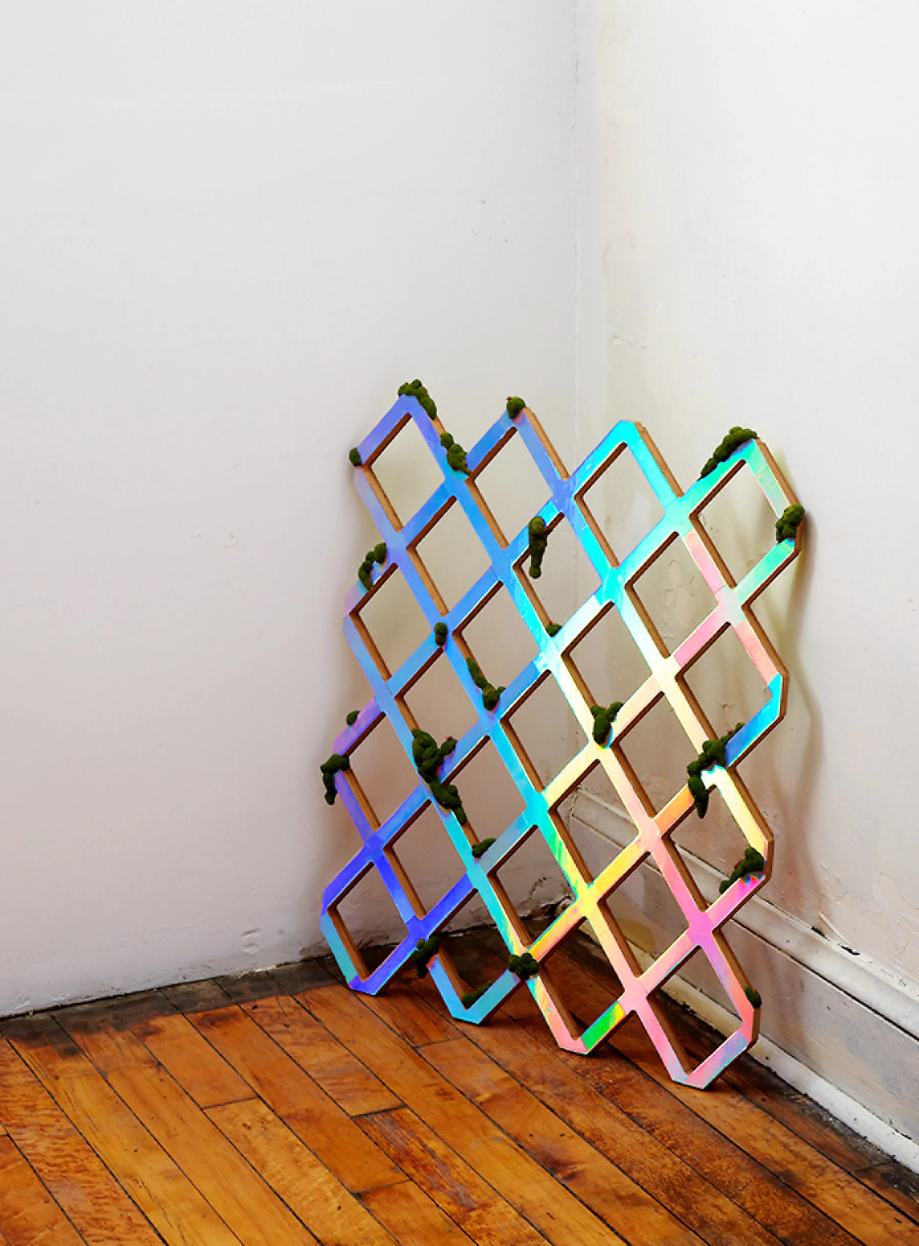 Xs, 2012