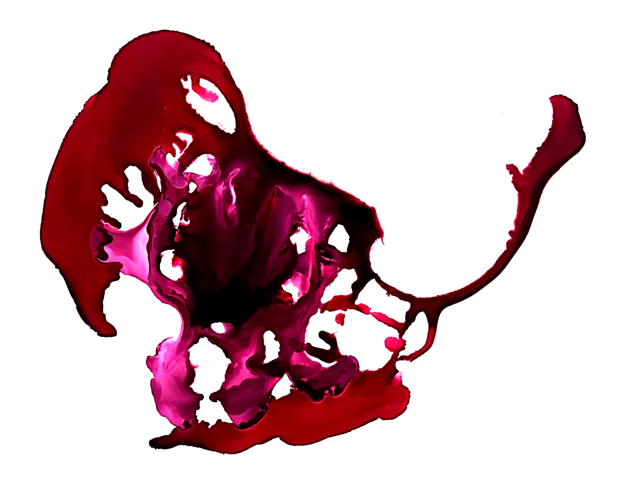 calf Alcohol ink on Heavy Yupo (11 x 14 in.) New York, 2024