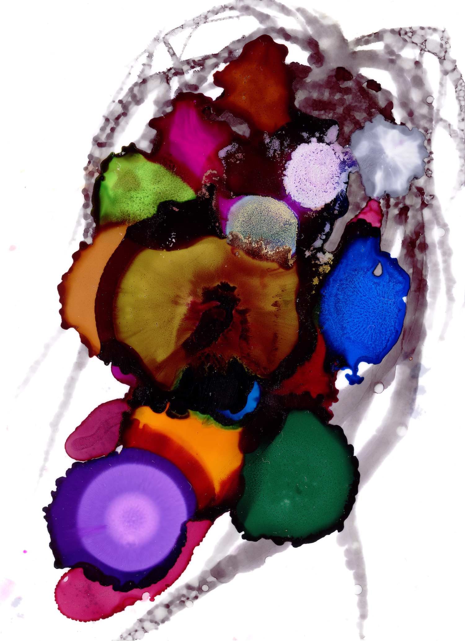 egg sac Alcohol ink on Translucent Yupo (7 x 5 in.) New York, 2024