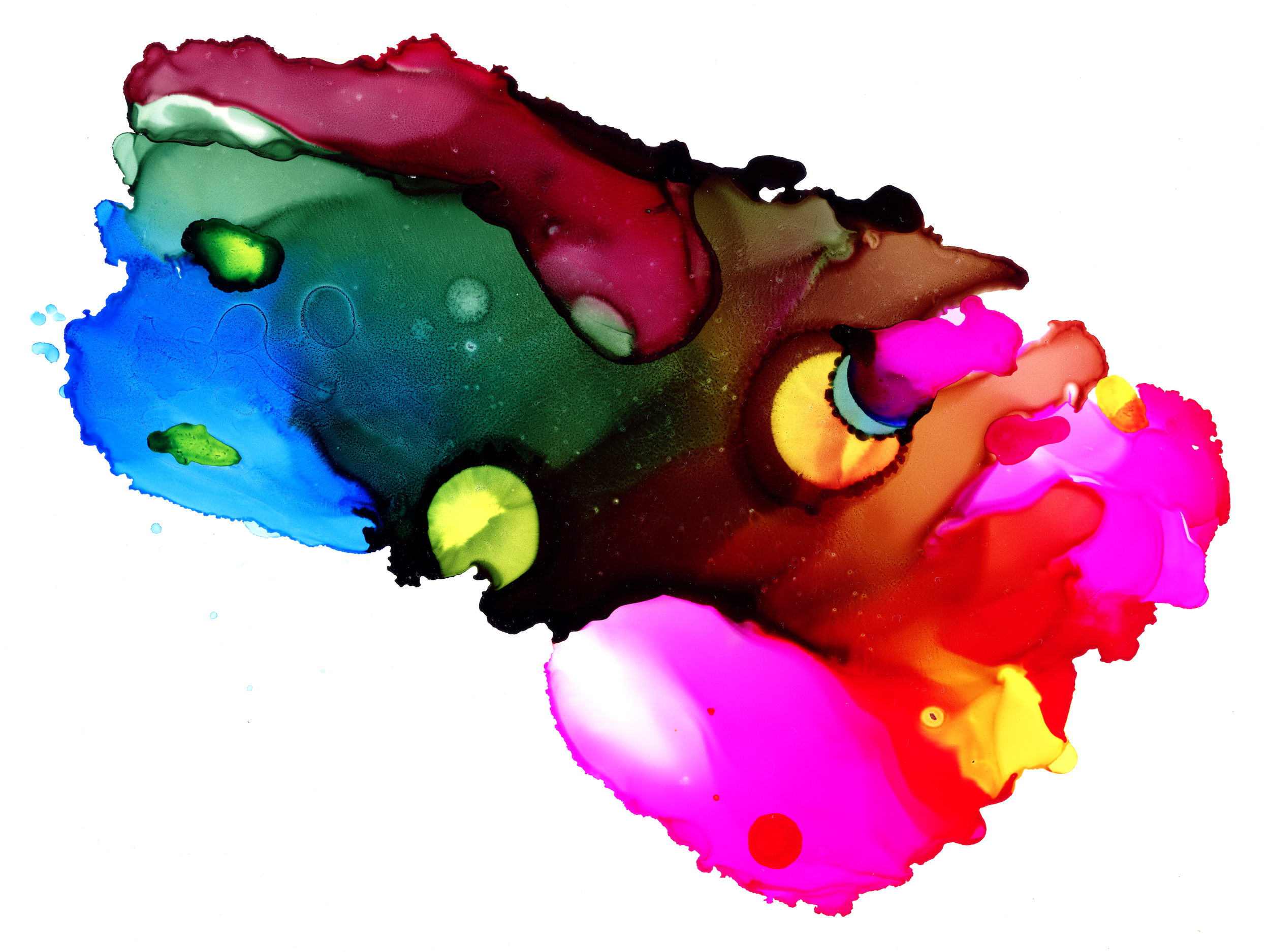 coelho cândido Alcohol ink on Medium Yupo (9 x 12 in.) New York, 2024