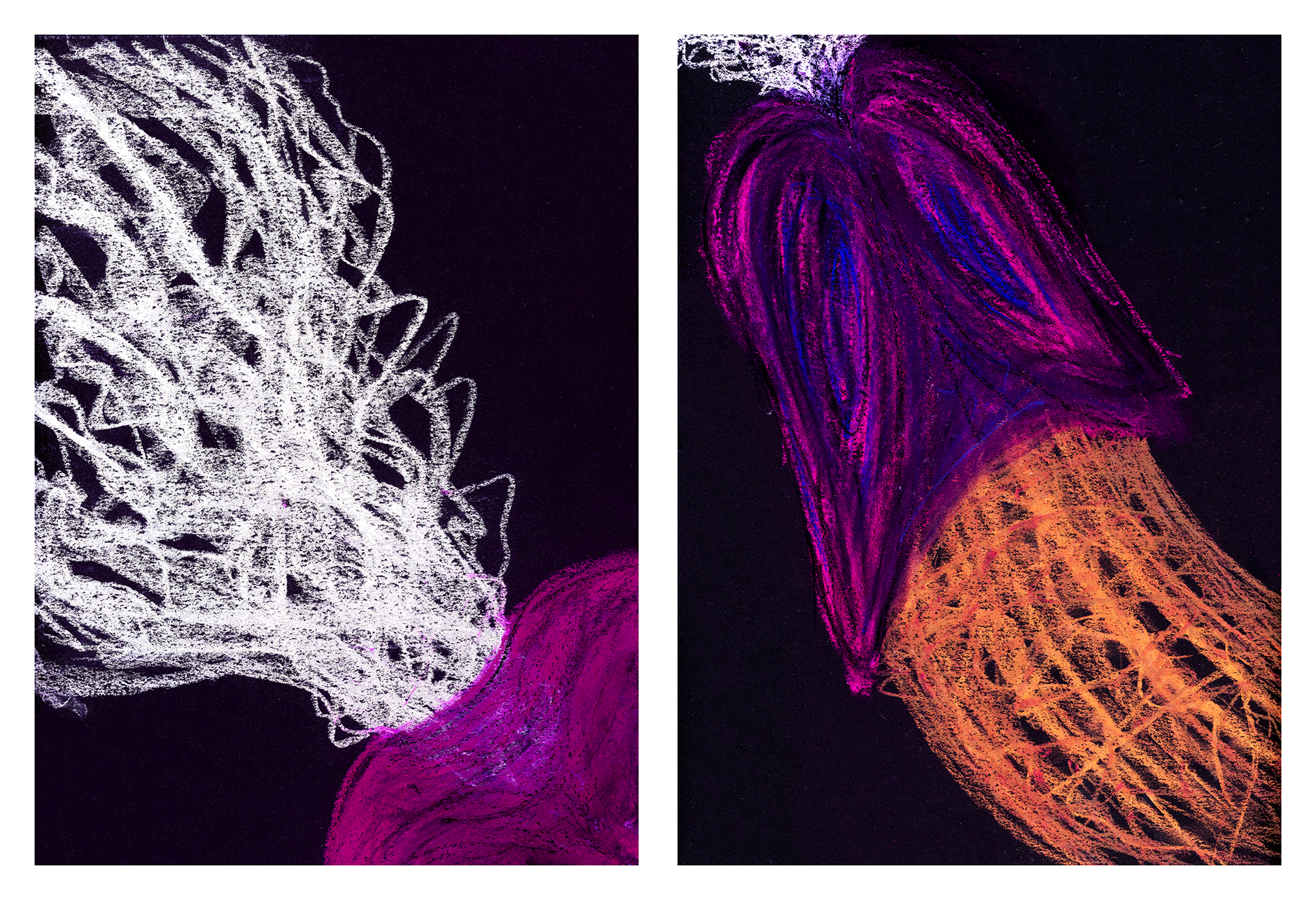 macro Pastel on Black Paper (12 x 9 in. each) New York, 2022