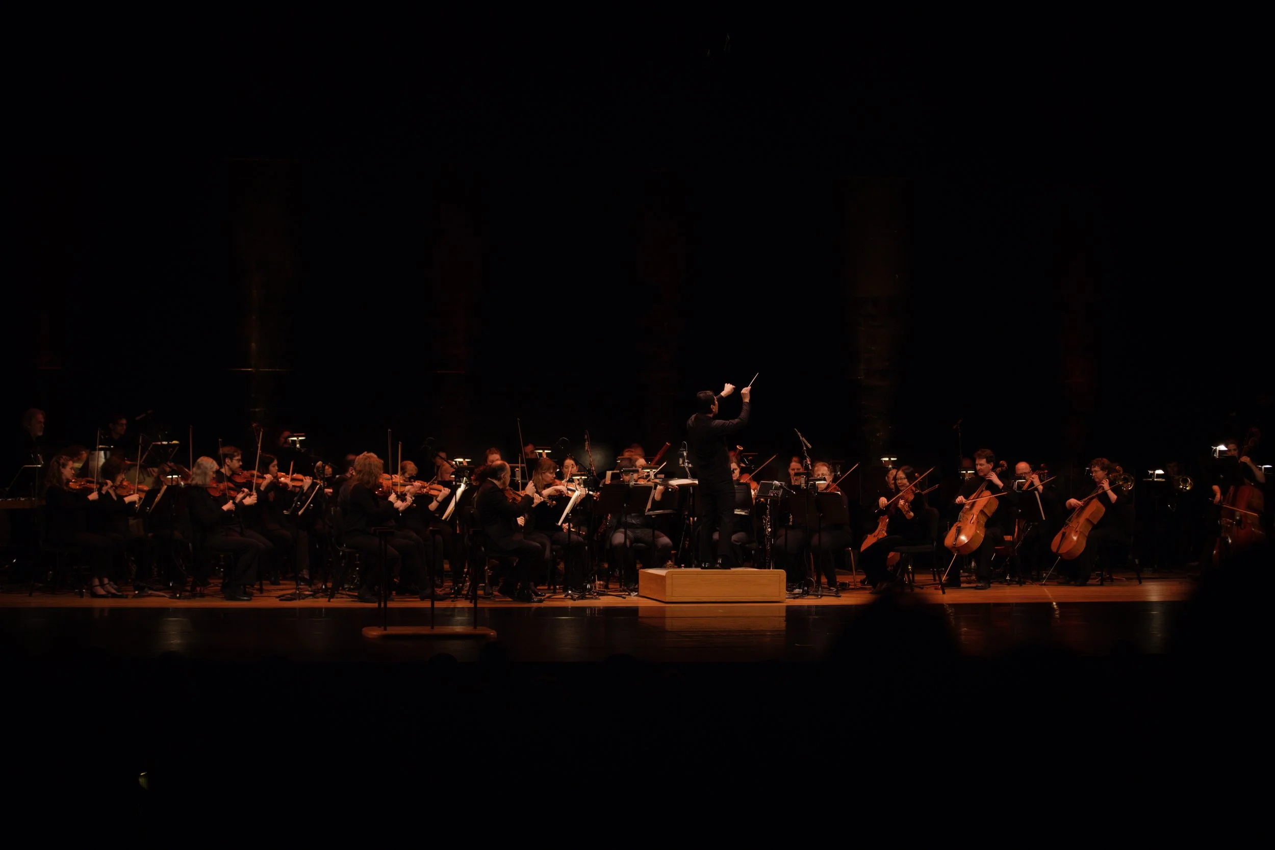 18-_DSC9115.jpg