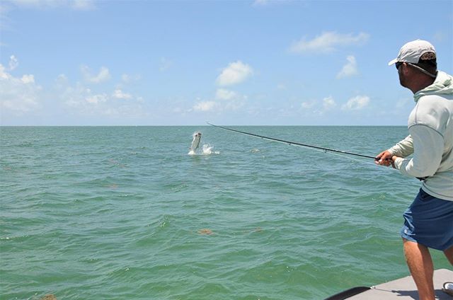 Turns out he&rsquo;s not too bad on the pointy end either #tarpon #flyfishing