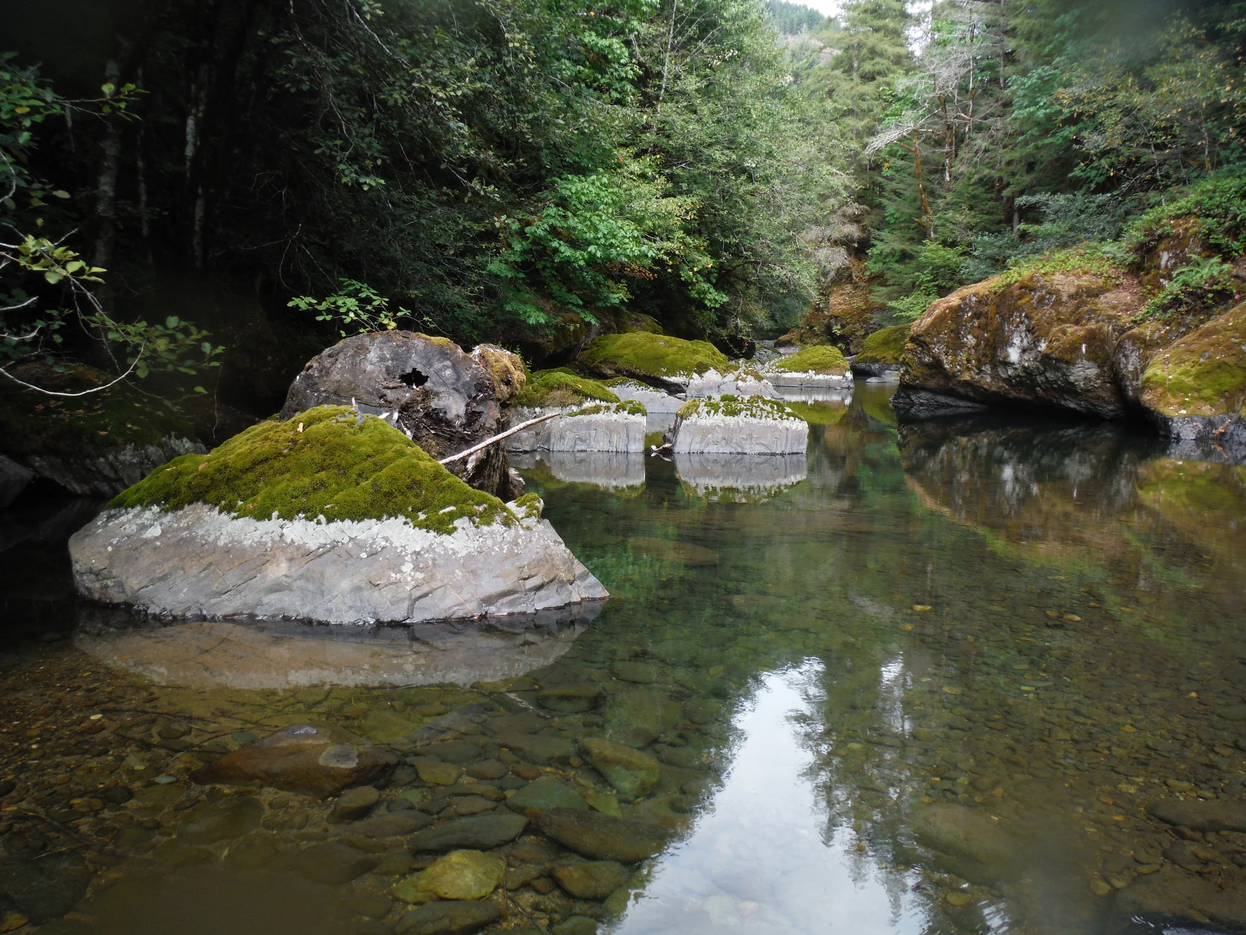 calapooia holding pool RM67.JPG