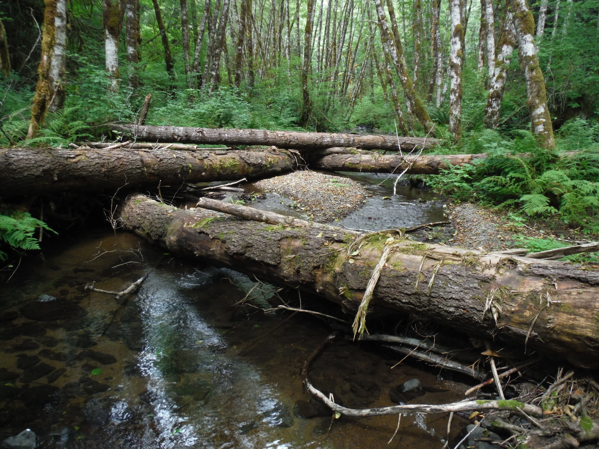 Clear Creek (Tualatin basin) LWD Structures