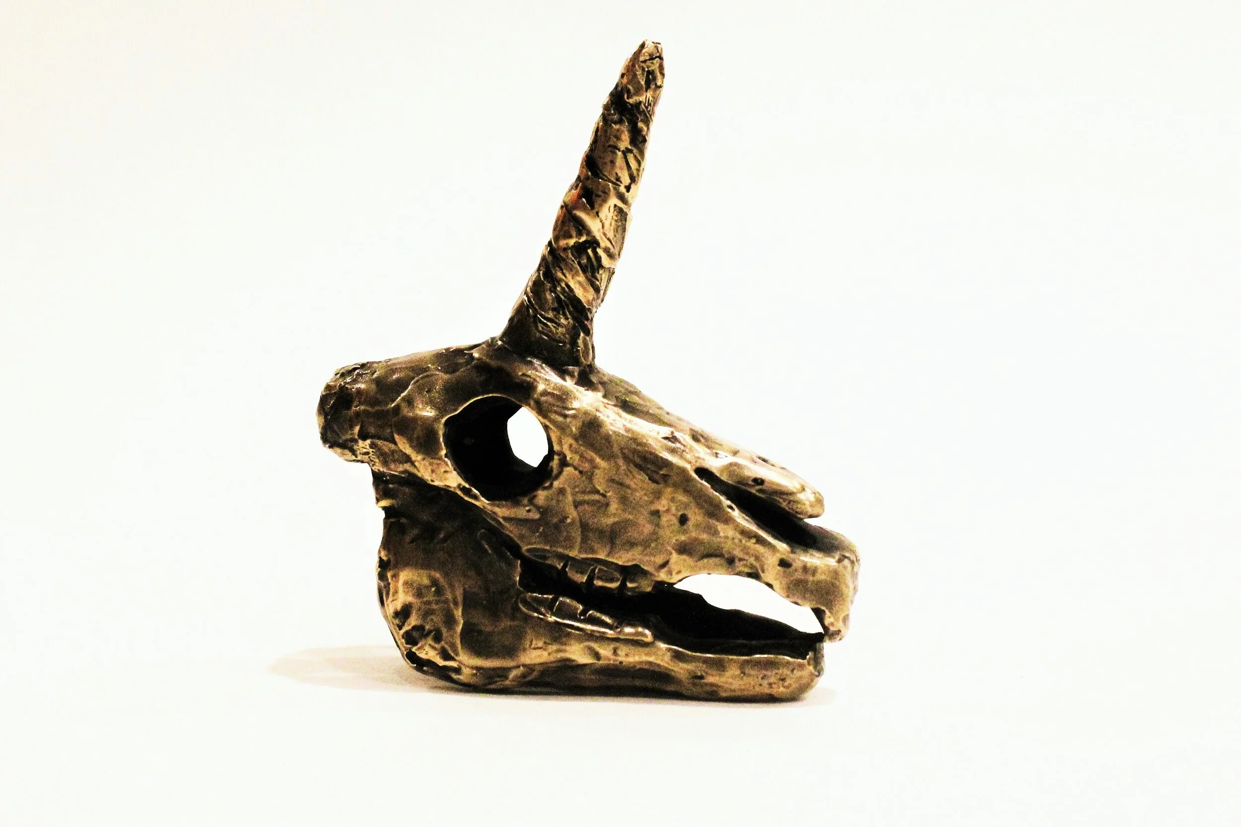 Unicorn Skull.JPG