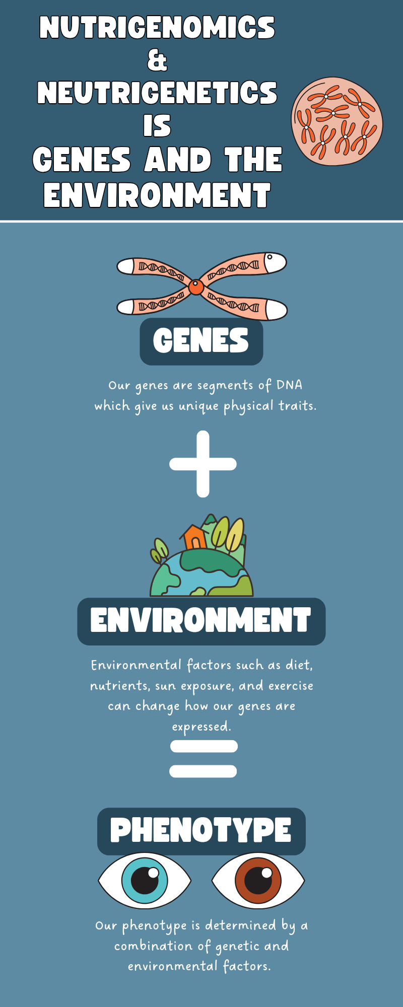 Exploring the Future of Personalized Medicine: Nutrigenetics and Nutrigenomics
