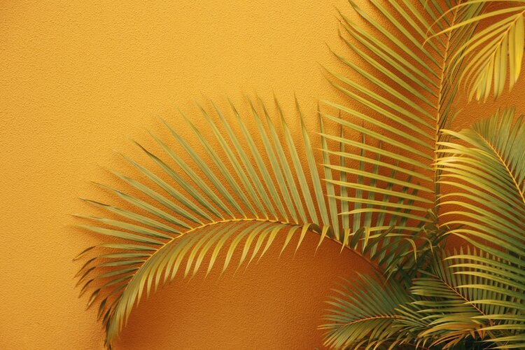 Close-up of green palm leaves against a yellow textured wall.