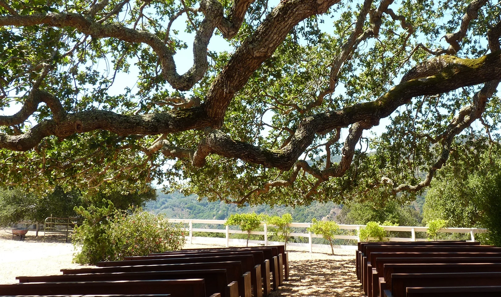 CarmelValley2.jpg