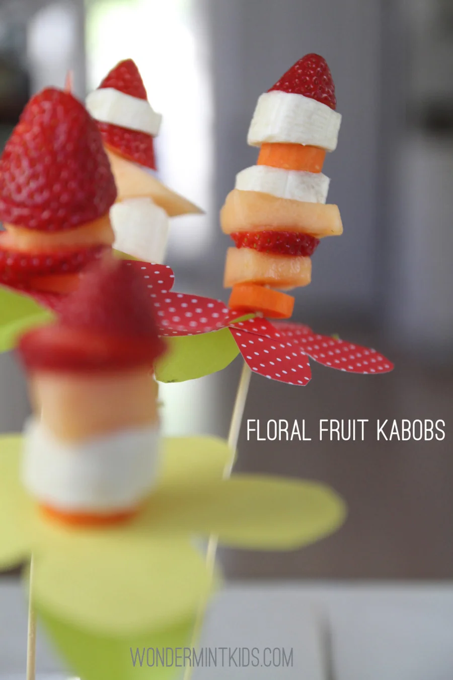 Another view of our kabobs!