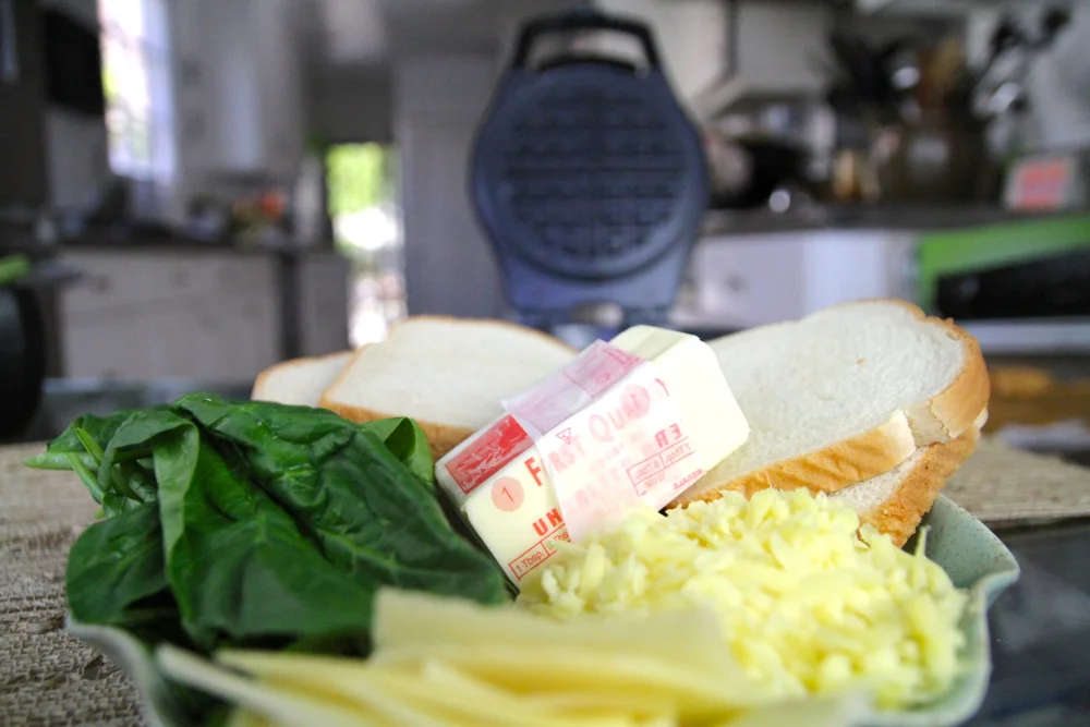 Yummy mozzarella, swiss and gruyere cheese plus spinach leaves