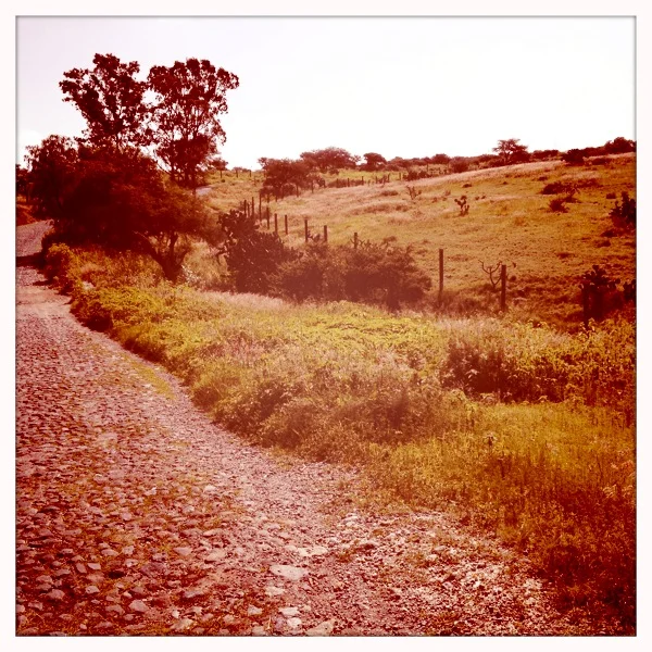 The road leading to the Habla Blah Blah recording studio