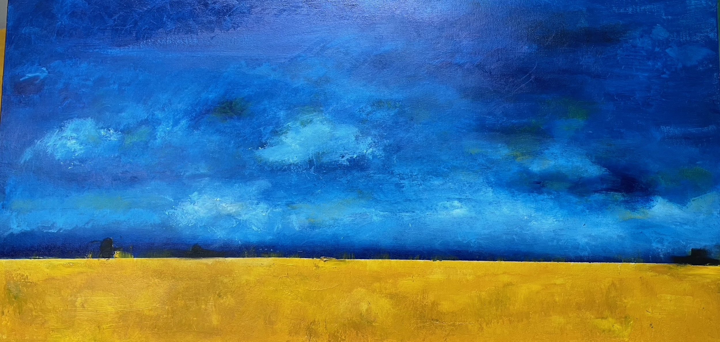 Big Sky SOLD