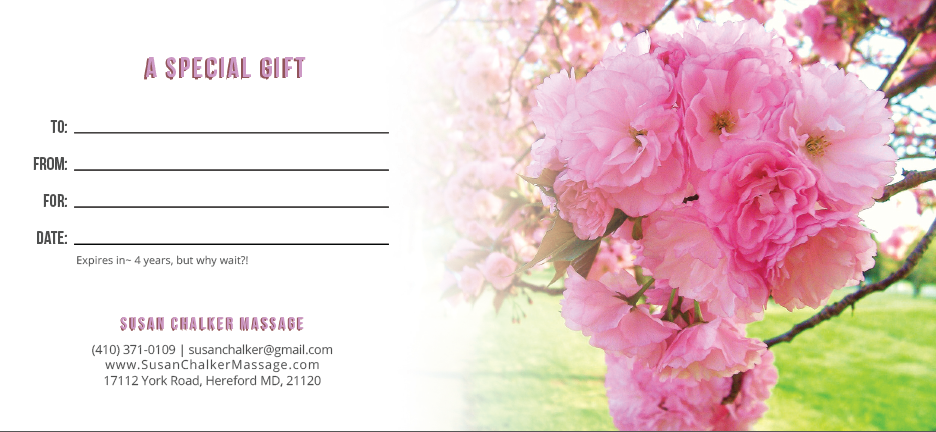 Big Cherry A Special Gift.PNG