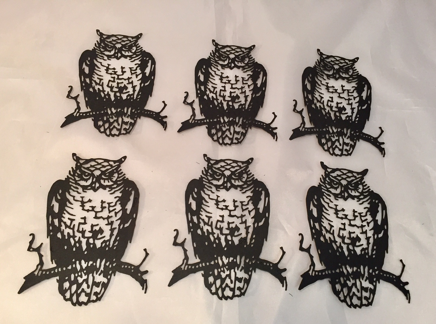 Ornate Owl 2