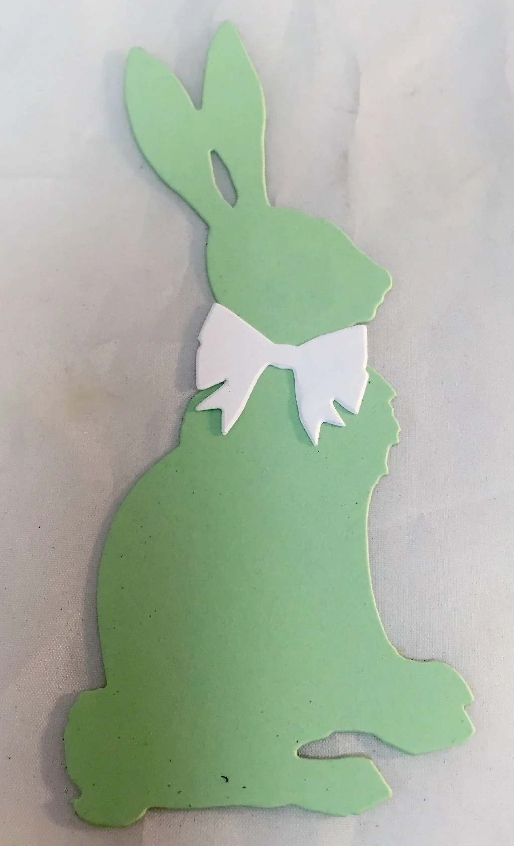 Cottontail 15