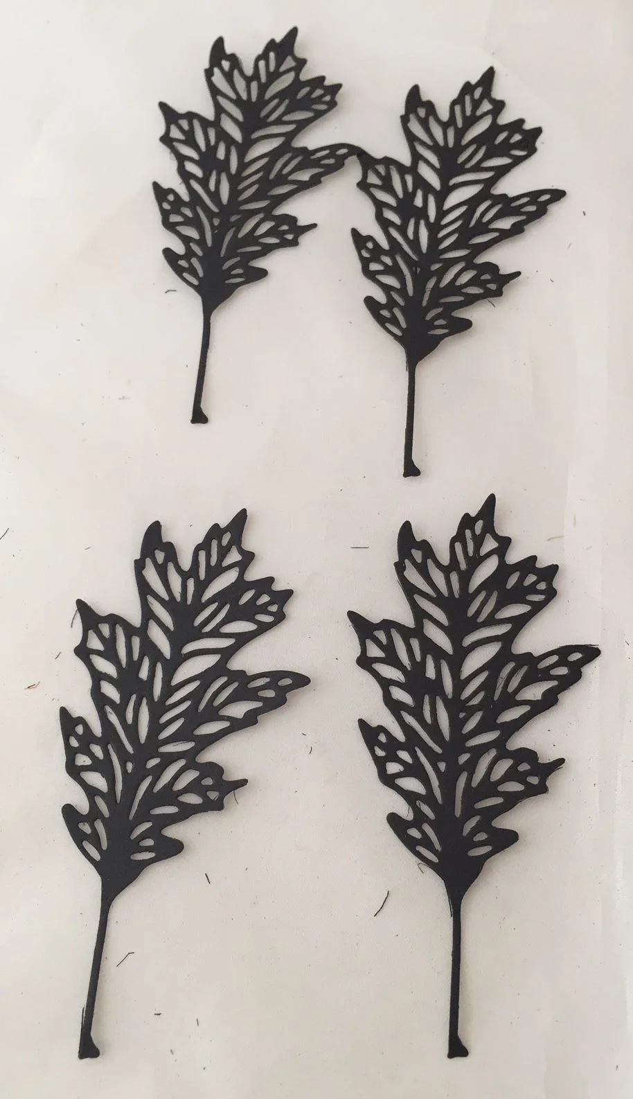 Leaves 14.jpg