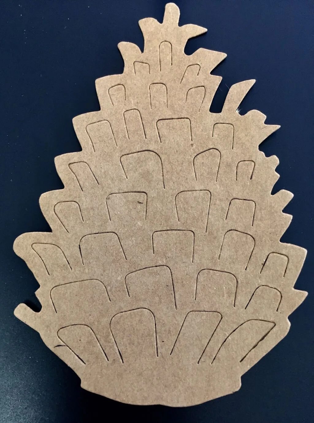 pinecone