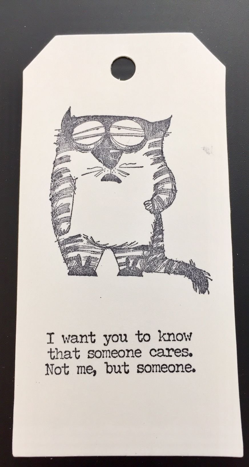Snarky cat