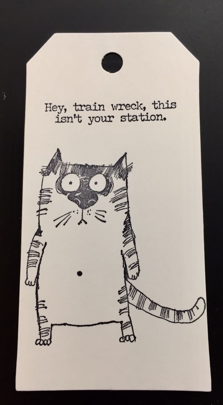 Snarky cat