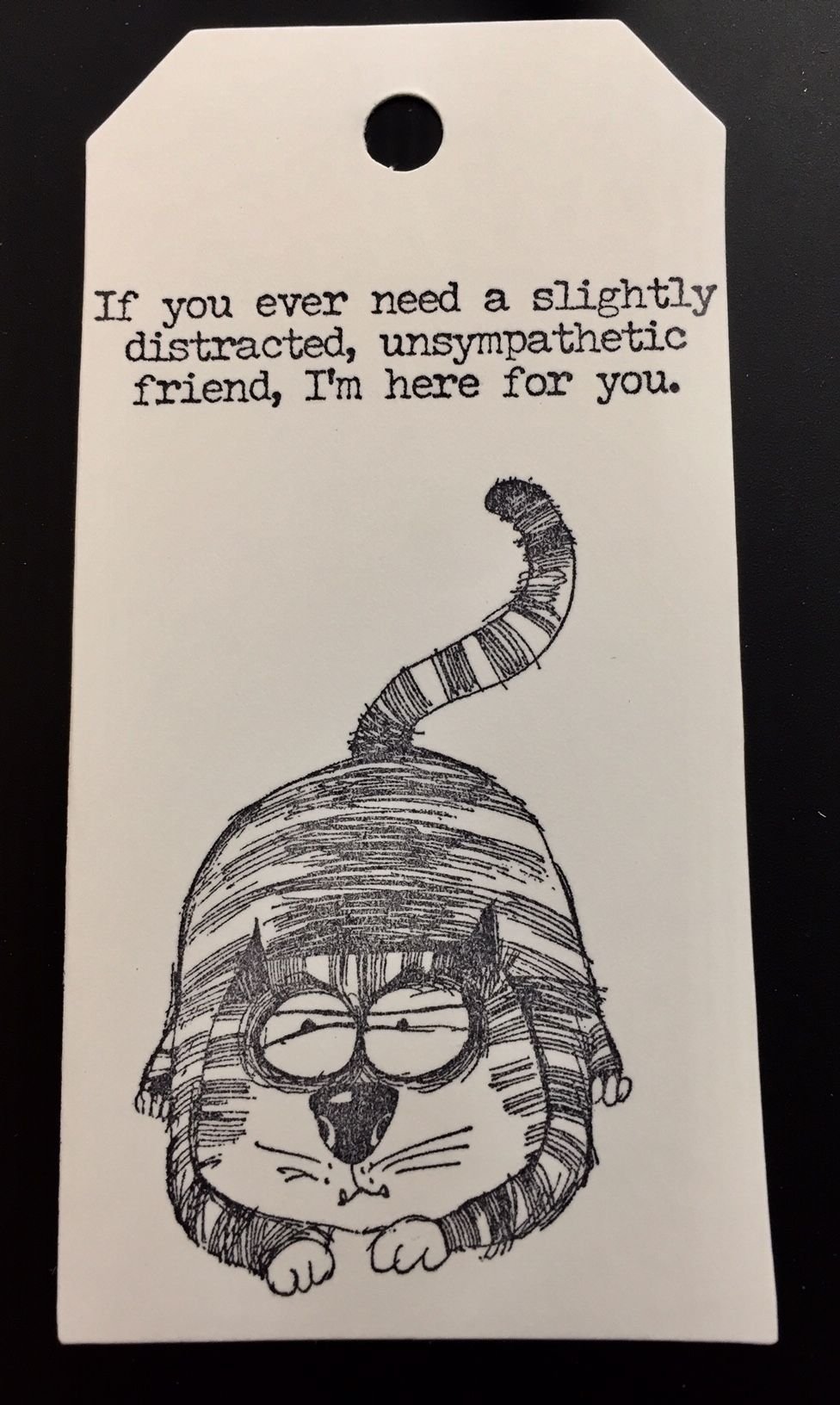 Snarky cat