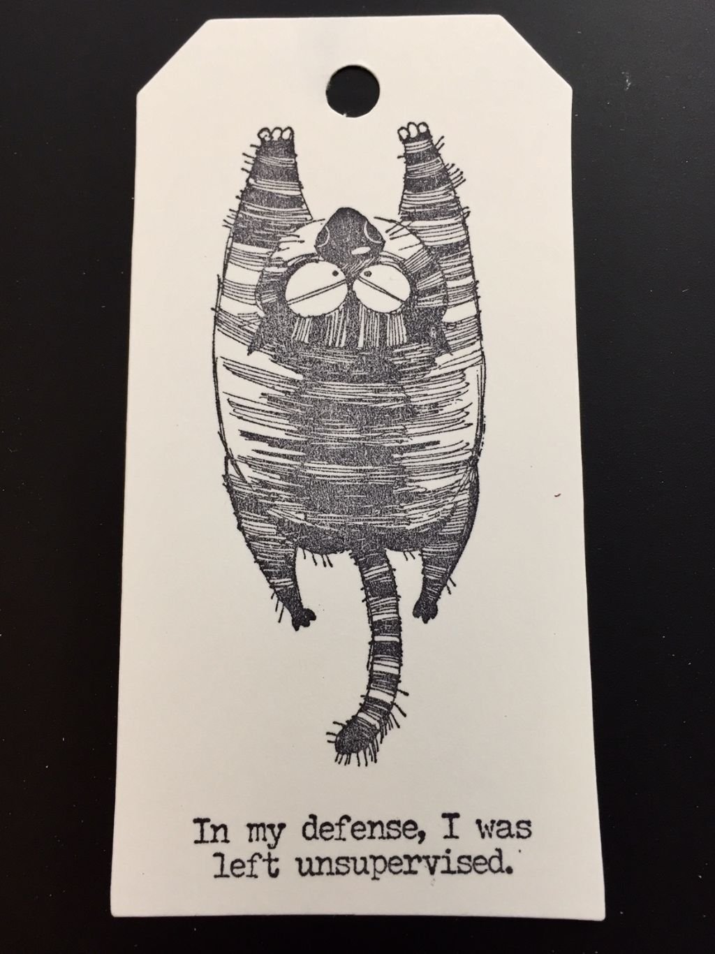 Snarky cat
