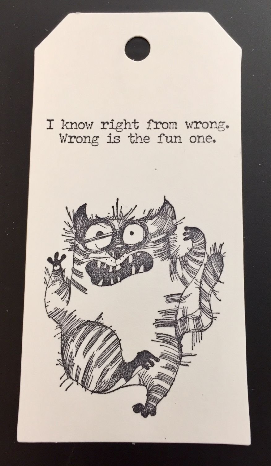 Snarky cat