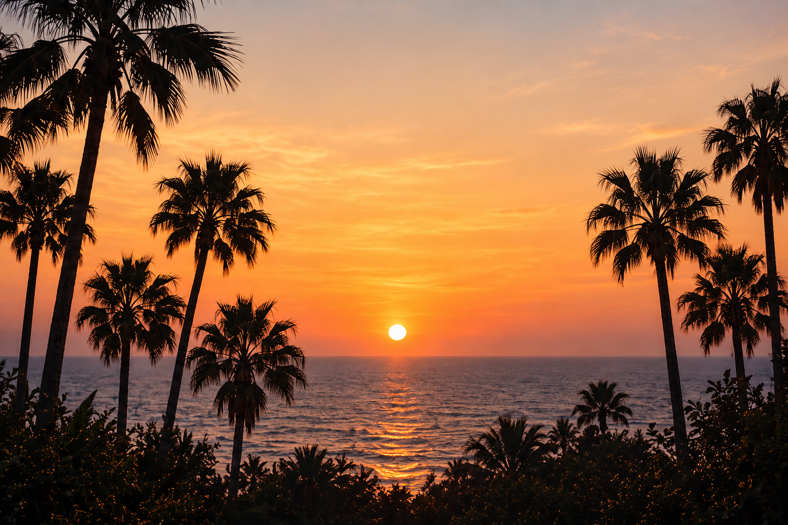 Palm silhouettes framing an ocean sunset
