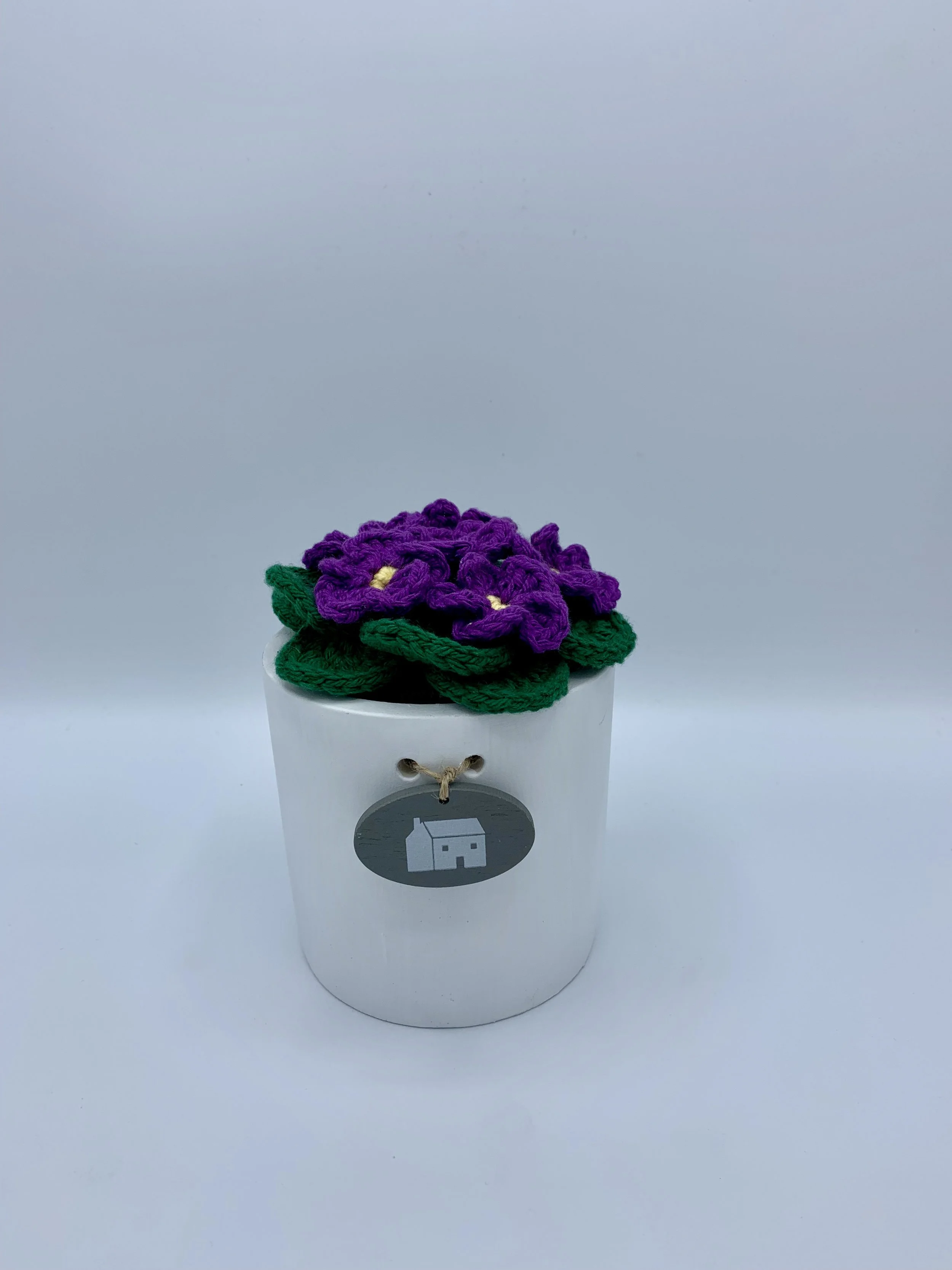 purple flower pot "house"