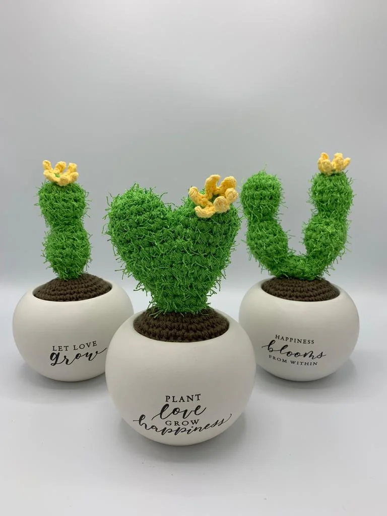 let love grow "I" cactus