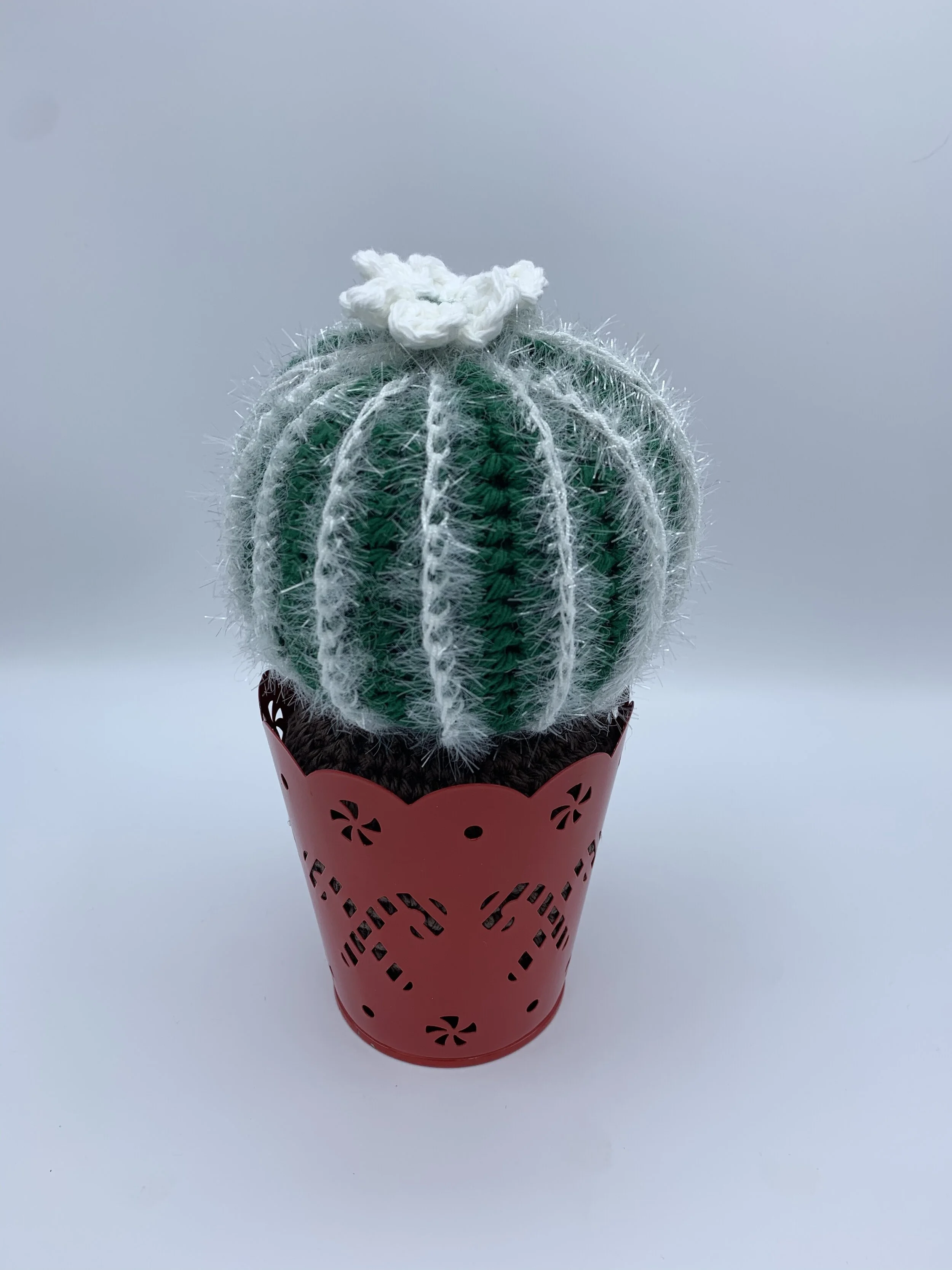 merry cactus