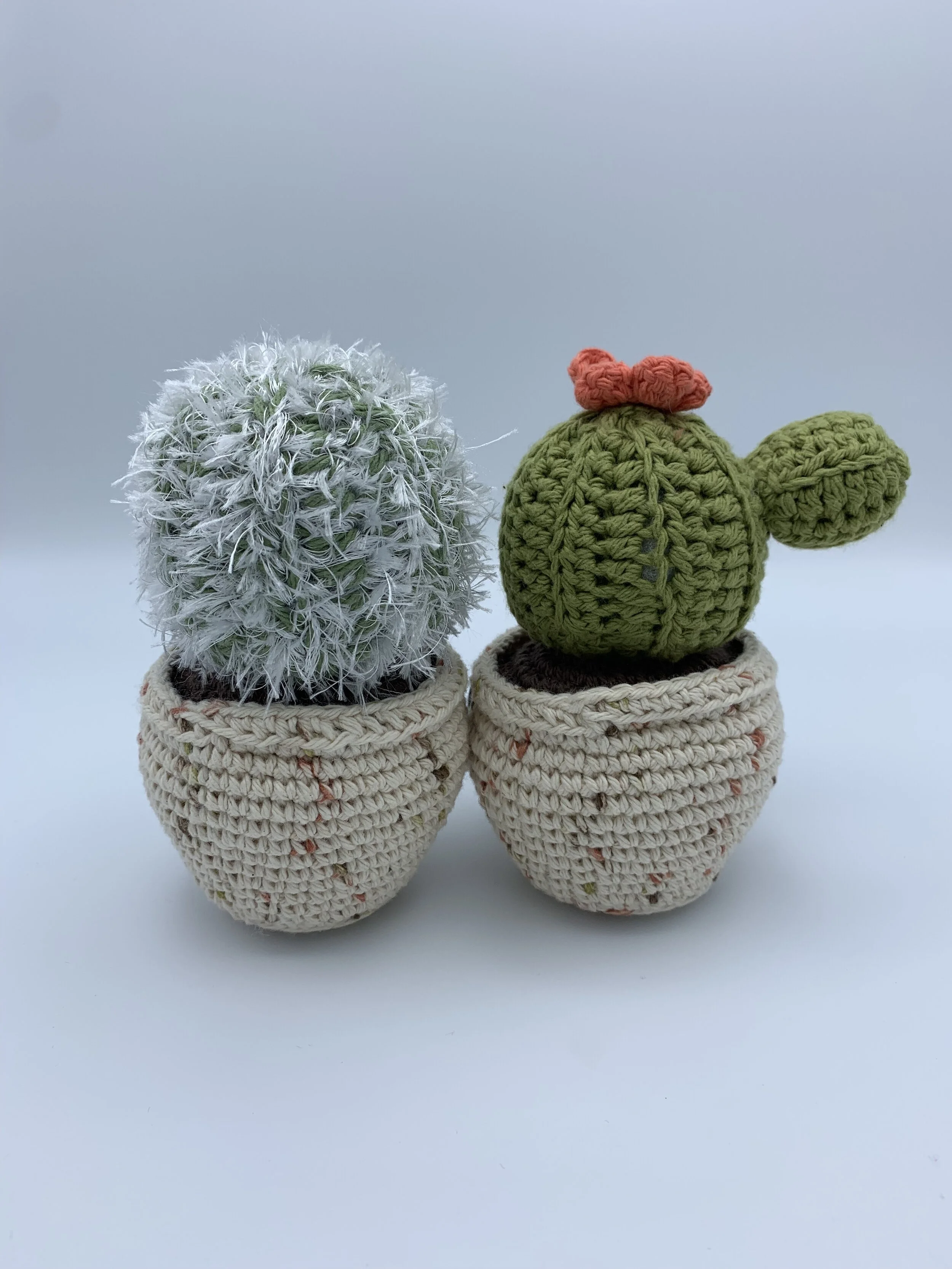 fuzzy cactus 3  w house sf