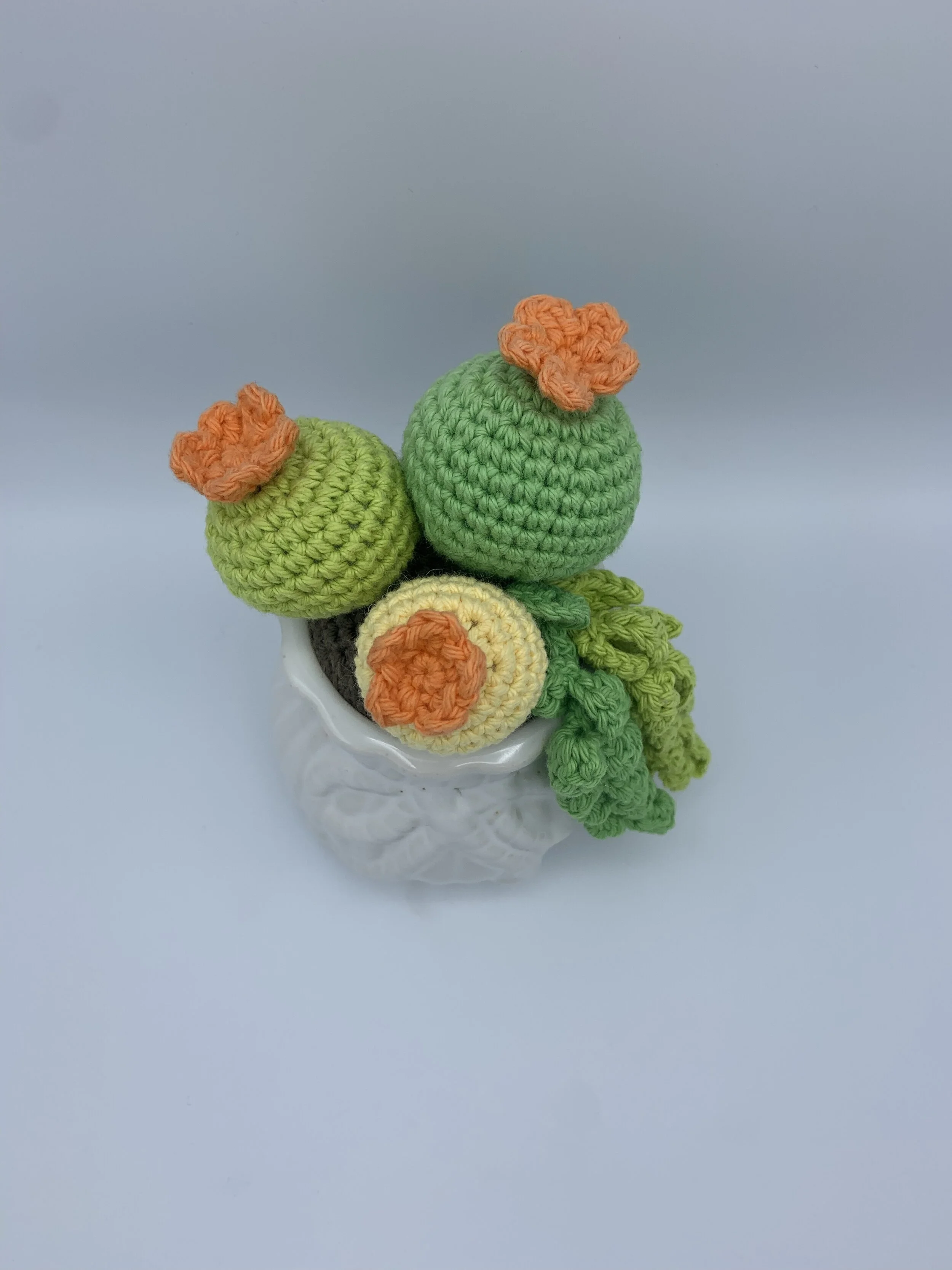 round trio cactus