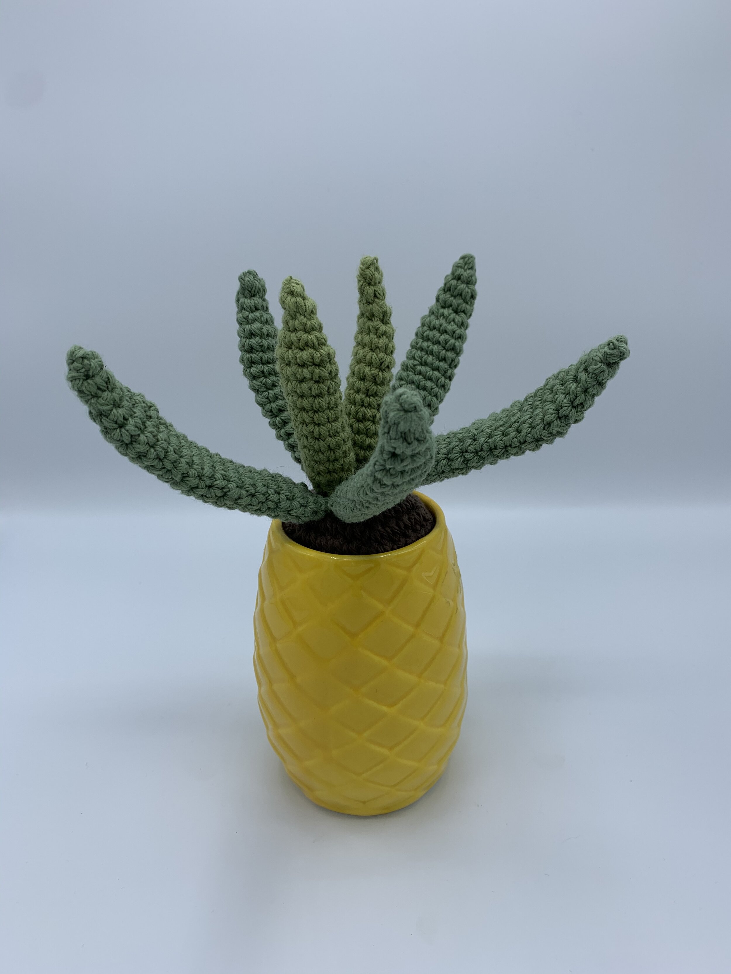 pineapple 01