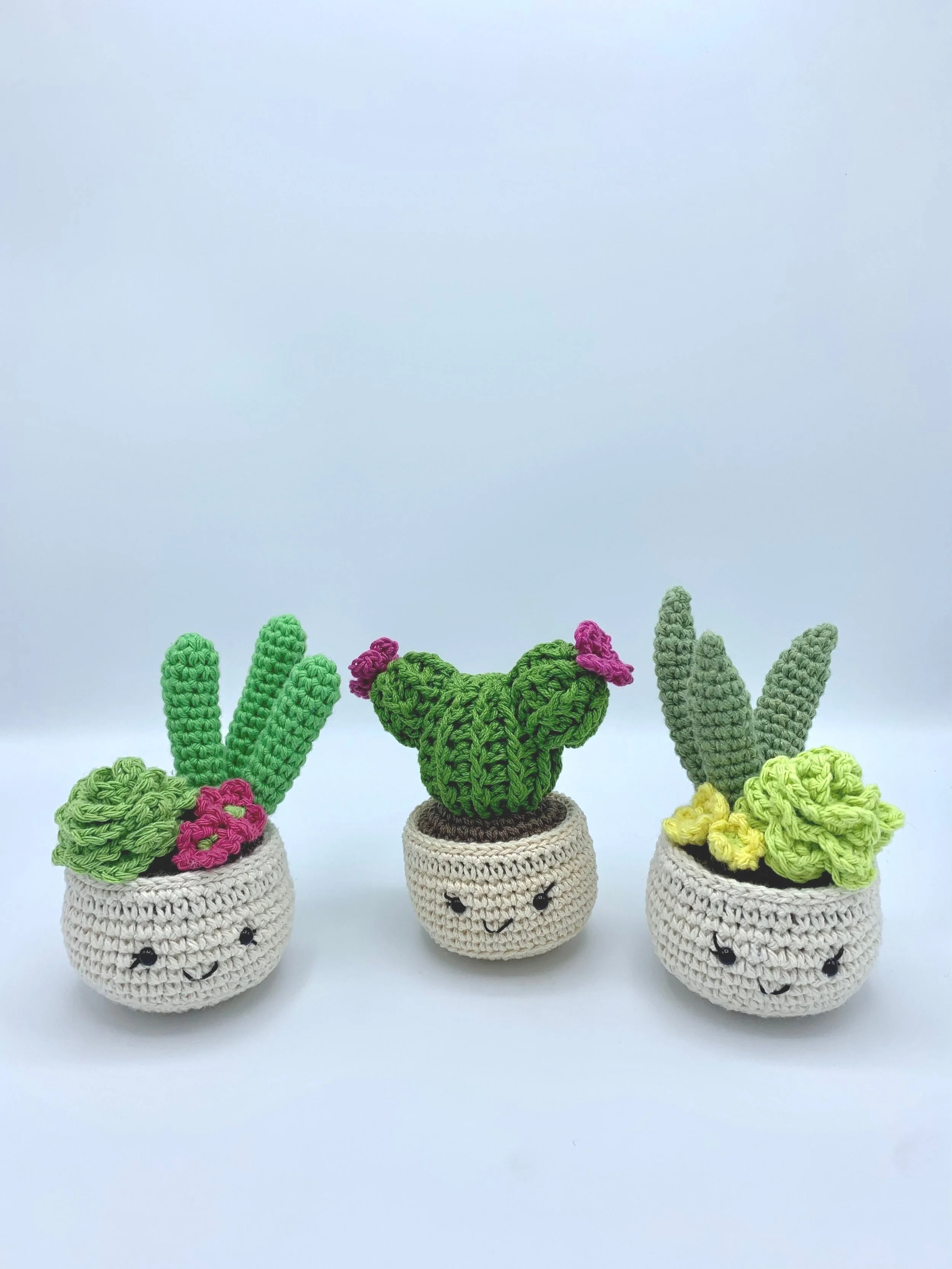 whimsical face plants