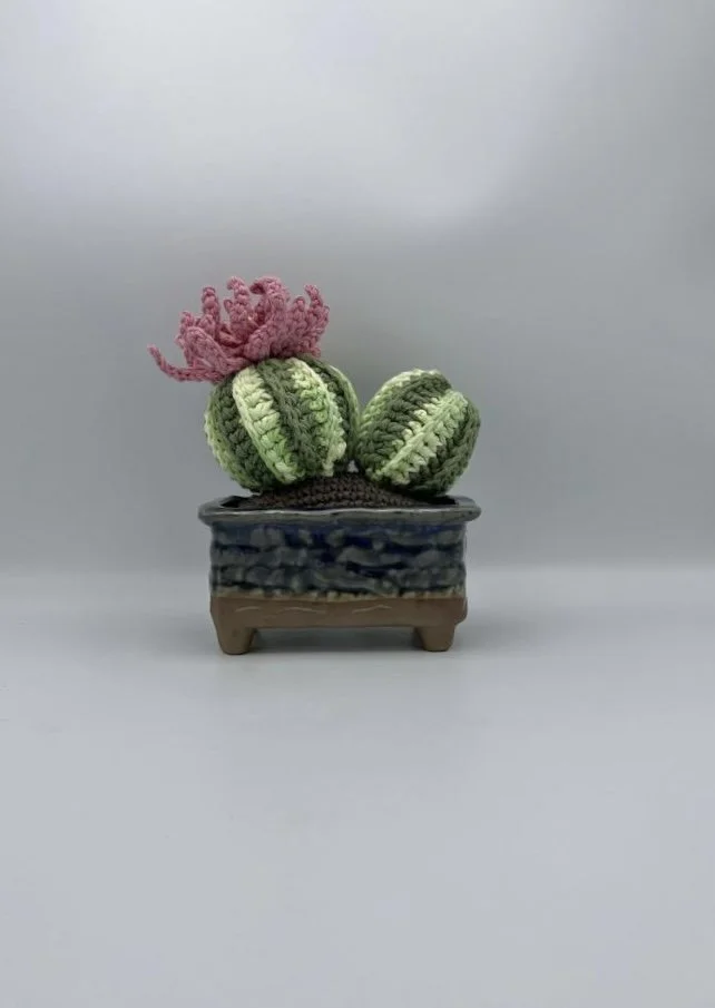 rectangular planter