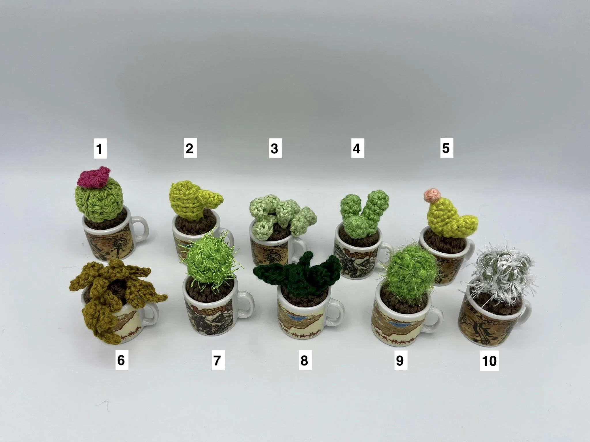 micro city cups (krygzstan)