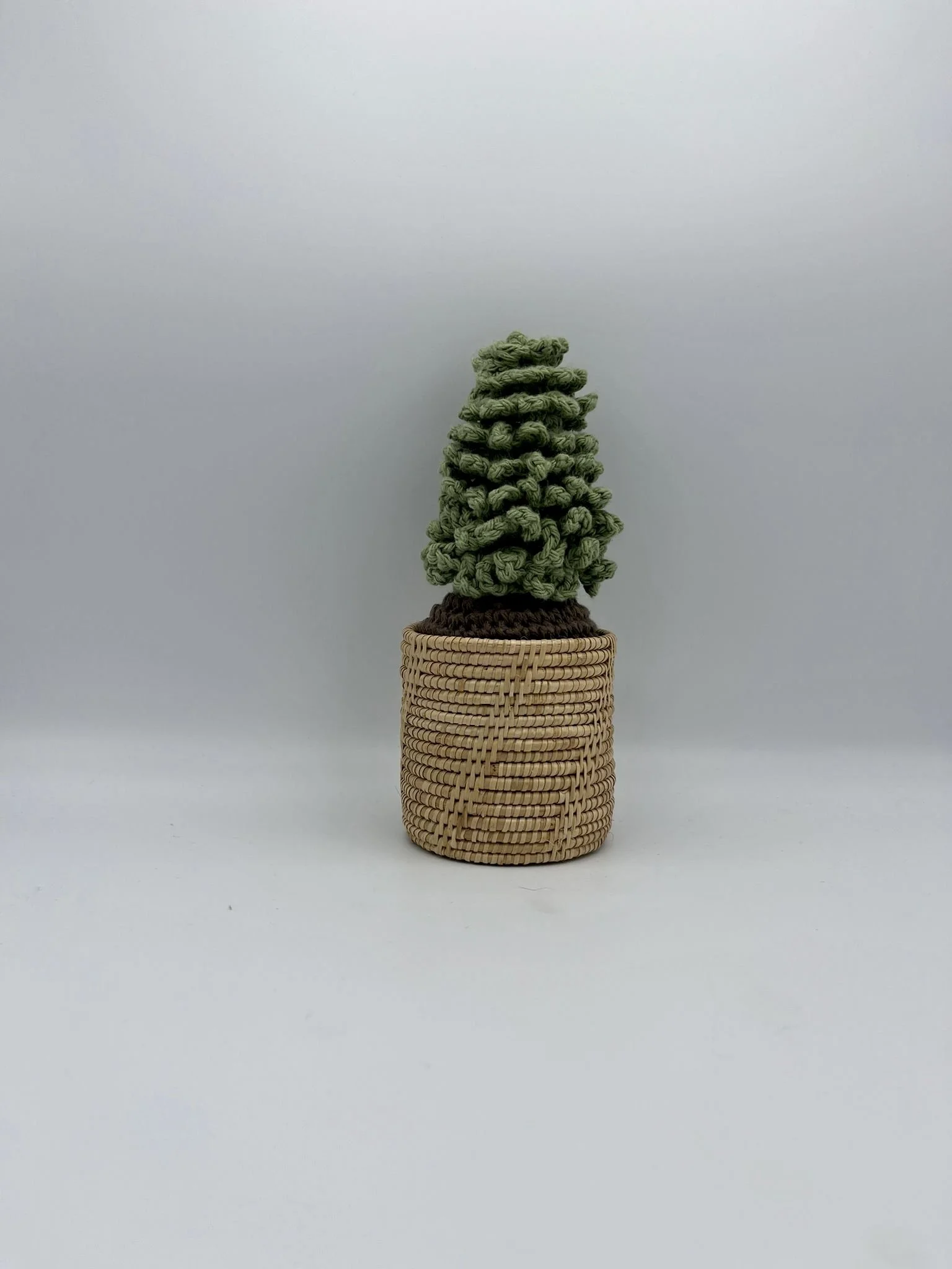 tall woven cactus