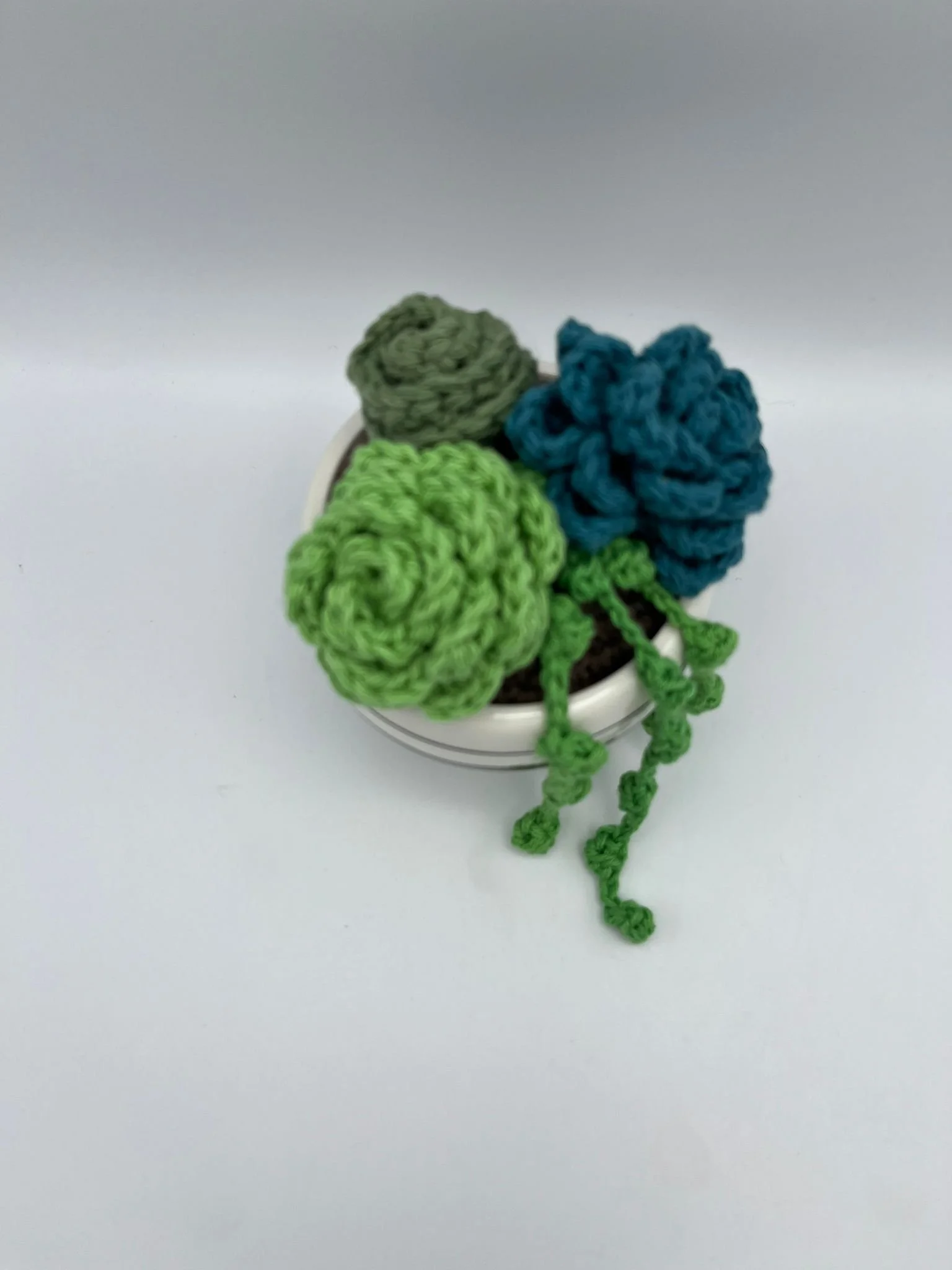 WhatsApp Image 2023-03-03 at 6.27.25 PM.jpeg