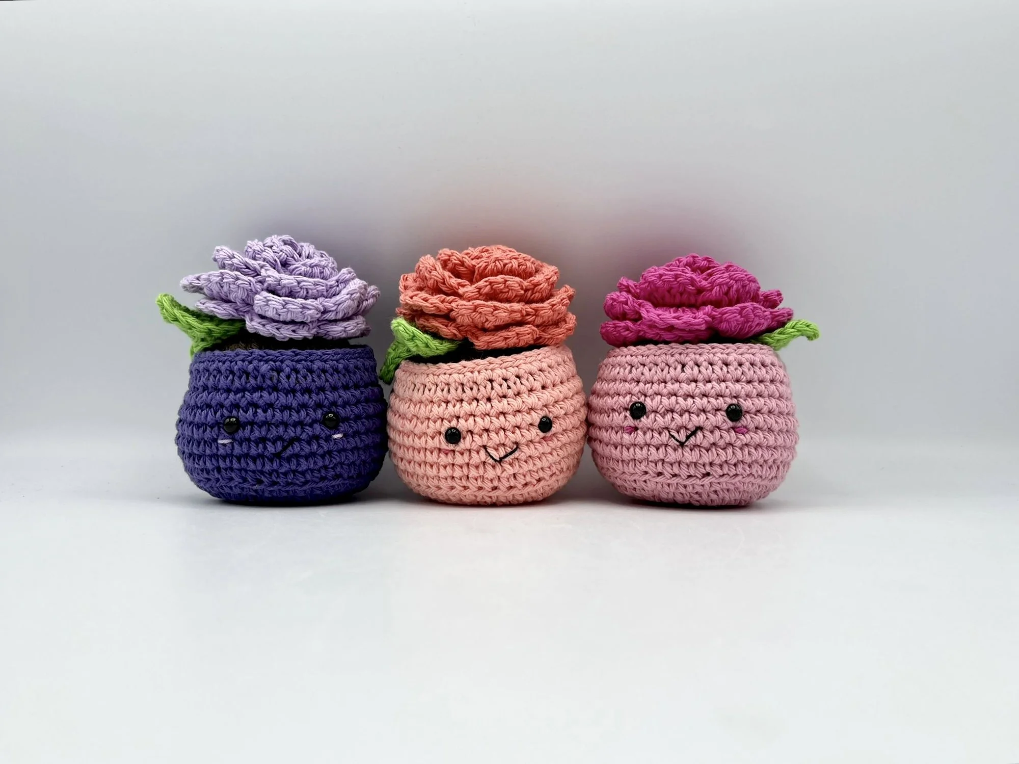 rosies 02