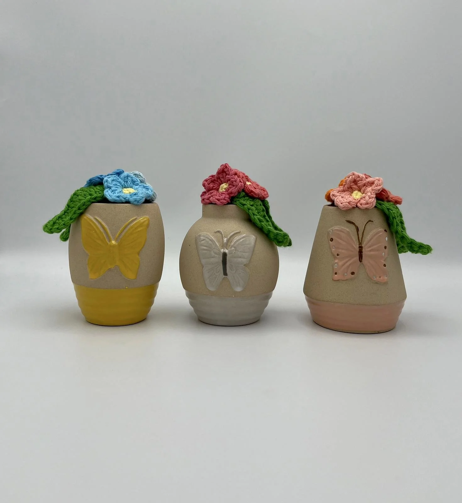 butterfly vase plants