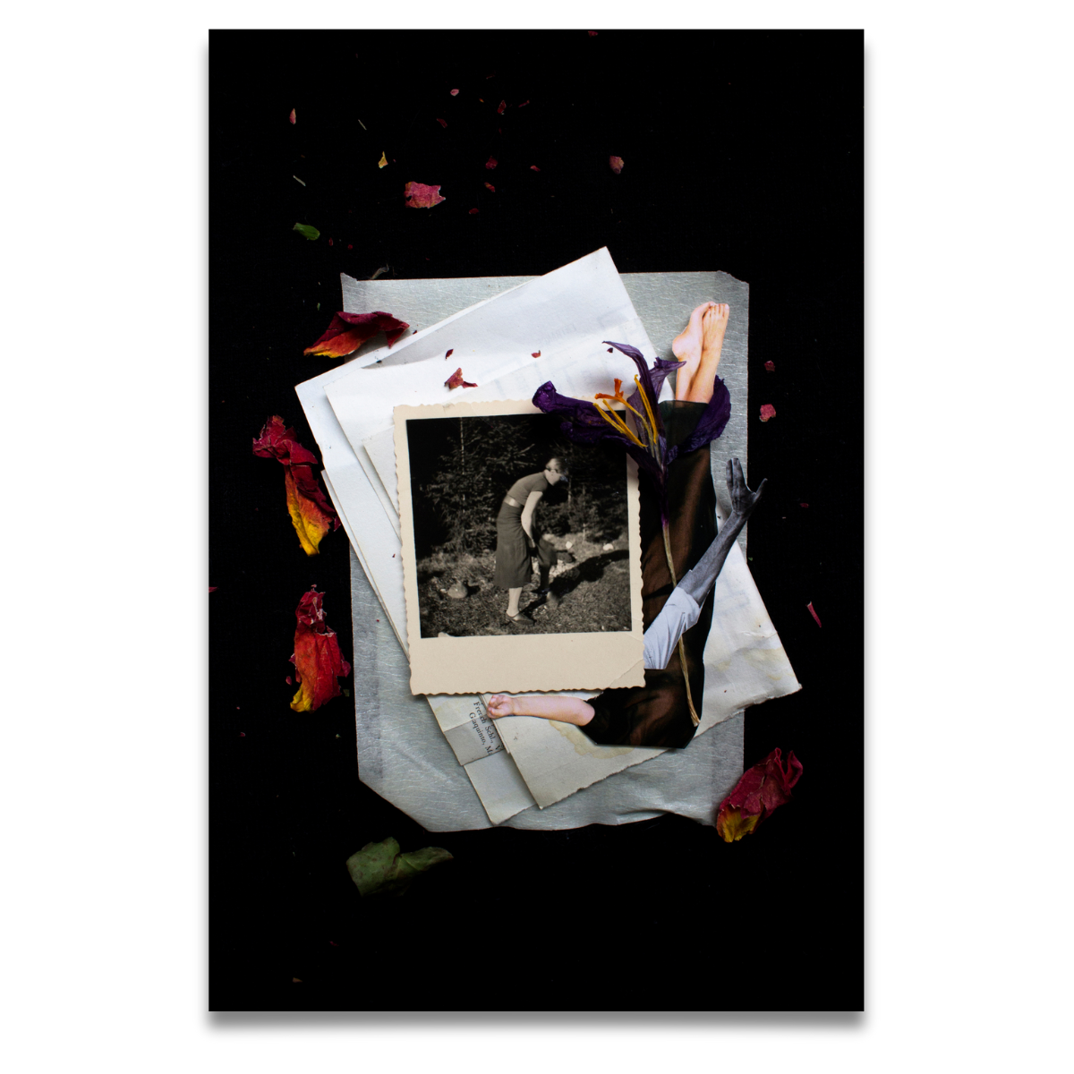 Deciphering Dreams.png