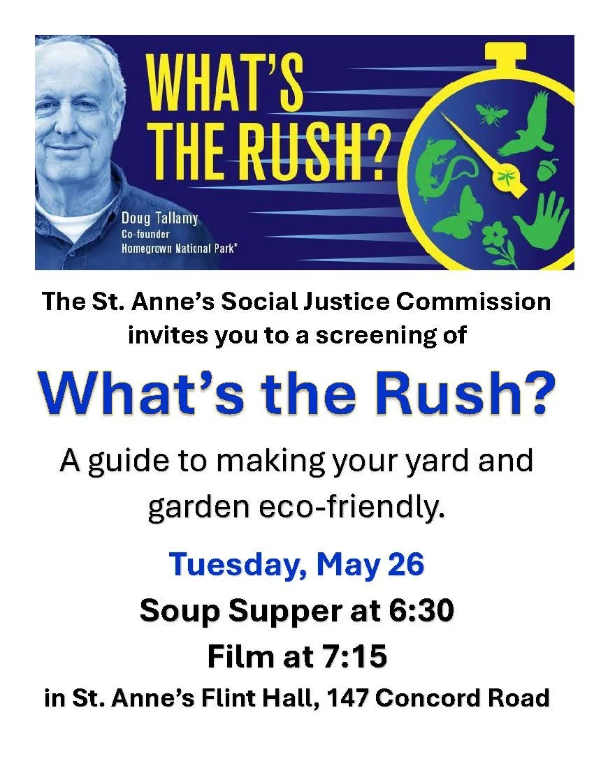 What's the Rush.jpg