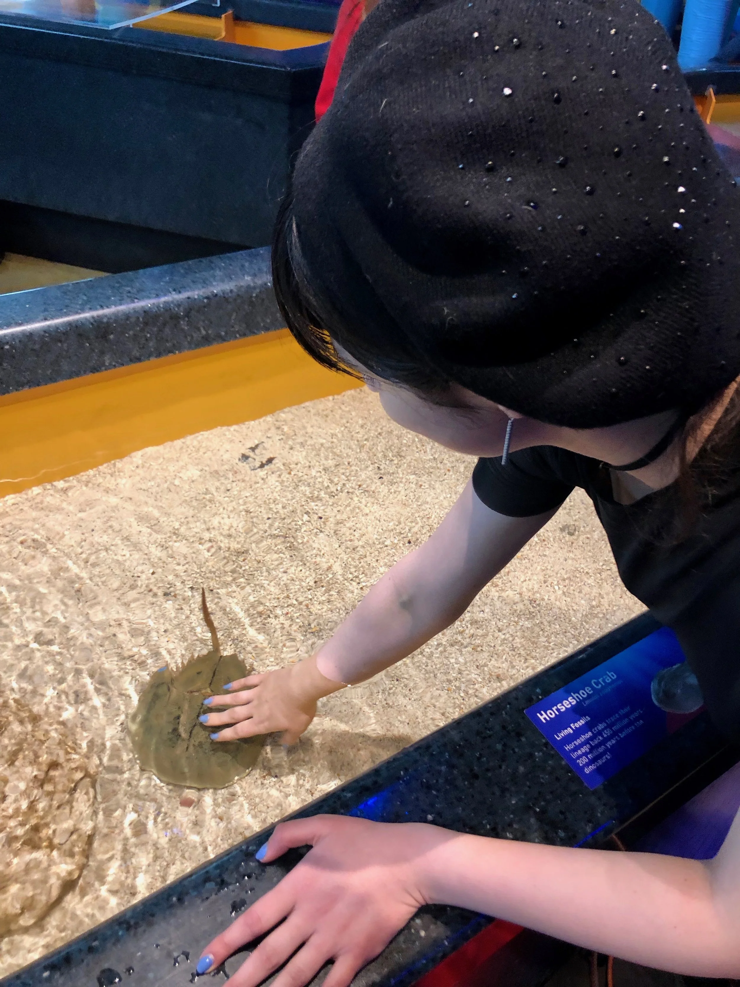 Hello, little fella!