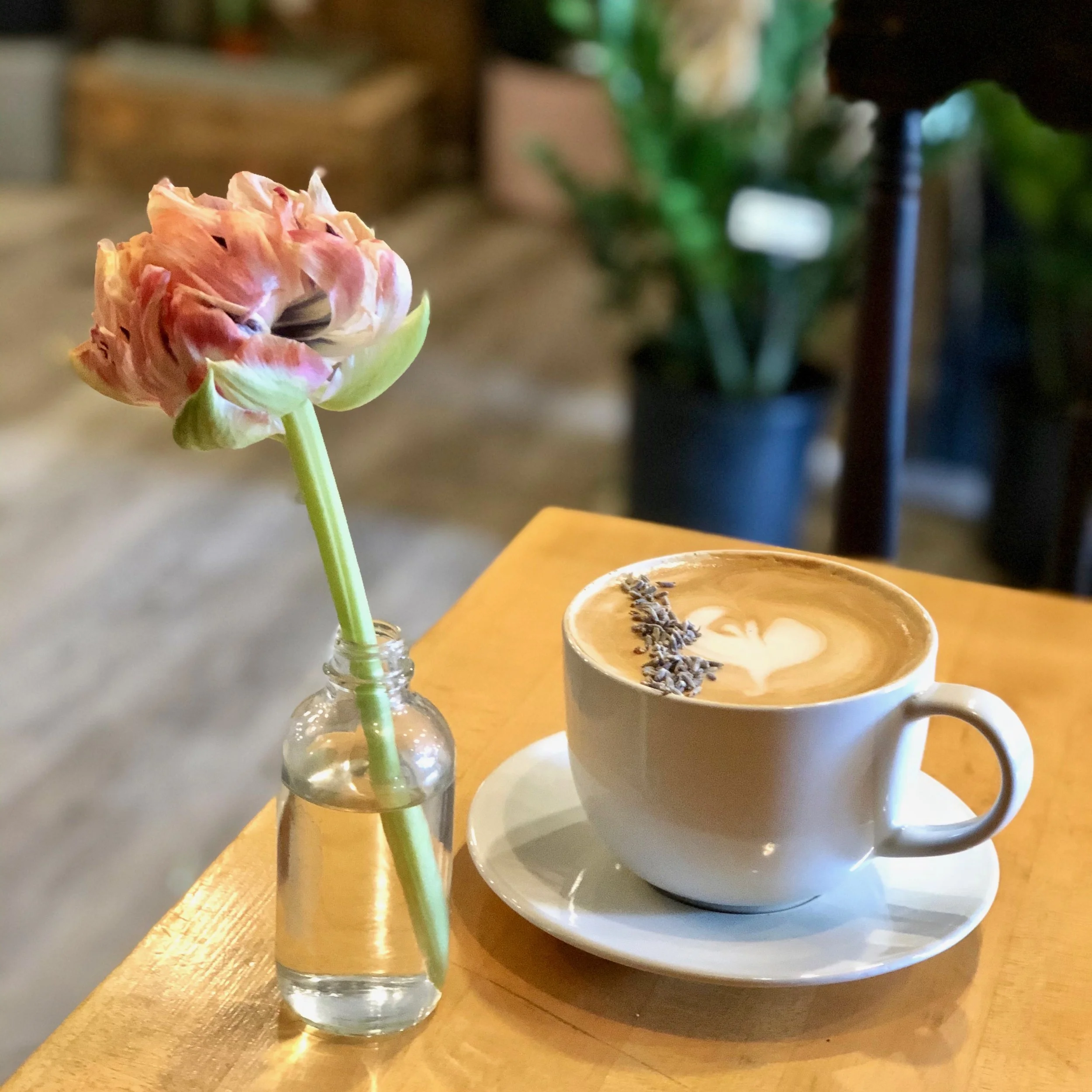 Toronto's Best Hybrid Coffee Shops &amp; Cafés