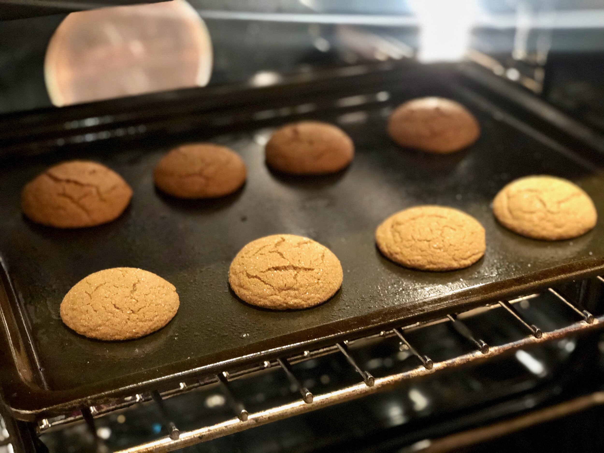 Sugar Coated Molasses Cookies - (Gluten Free) — Sarah Freia